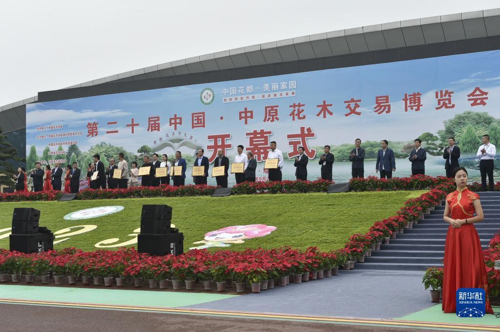 df888cc娱乐场